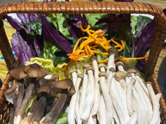 -春润大地海南椰子鸡(沙井京基百纳广场店)