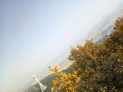 -帽儿山国家森林公园