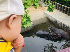 -西霞口神雕山野生动物世界