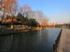 -白塘生态植物园