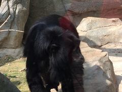 -泉州海丝野生动物世界