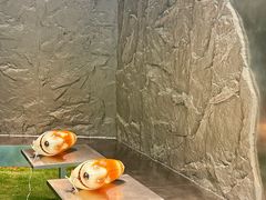 -J Create城市露营咖啡·简餐·宠物(上海动物园店)