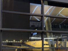 -上海浦东国际机场-T2航站楼