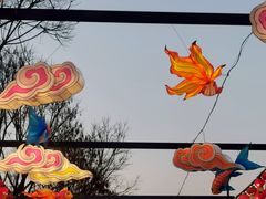 -武汉园博园(武汉自然博物馆)