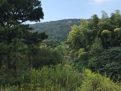 -宝岩生态观光园