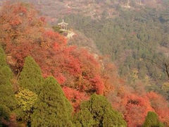 iphone_upload_pic-北京石景山游乐园