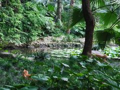 -苏州河梦清园环保主题公园