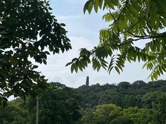 -上海佘山国家森林公园天马山园