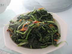 -洛阳白云山景区