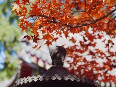 -香山公园