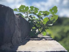 -虞山城墙