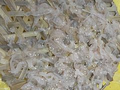 -官塘陈记鱼生·潮汕砂锅粥·牛肉火锅(潮枫路总店)