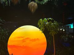 -扬之阿李菌汤火锅(1969店)