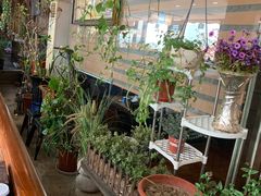 -向阳庄烧烤店(望京西园店)