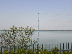 -江滩湿地公园