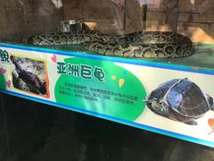 -无锡动物园·太湖欢乐园