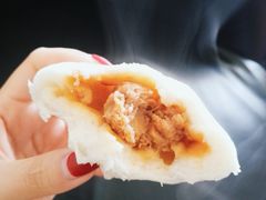 笋丁肉包-白玉兰食品(甜云店)
