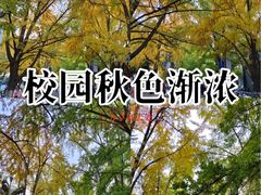 -四川大学(华西校区)