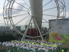 -幻彩摩天轮