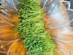 活体豆苗-煲宫猪肚鸡(晶品店)