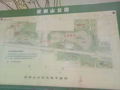 -紫荆山公园