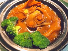 -皇朝会.经典传统粤菜(外滩店)