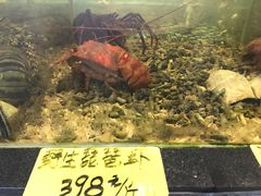 -顺德了能馆(虎门店)