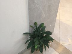-团圆口腔·种植中心(锦江院区)