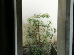 -浙江省博物馆(孤山馆区)