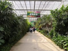 -云幽谷旅游区