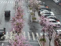 -铁路文化公园