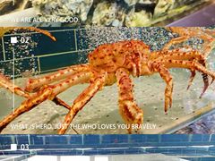 -宴周康·精致江浙菜(周浦店)