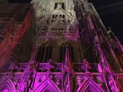 -斯蒂芬主教座堂(Stephansdom)