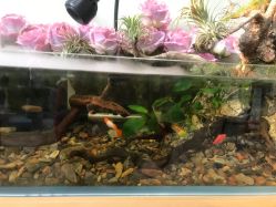 -Lumi露米·美甲美睫品质店