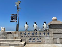 -中华人民共和国水准零点