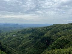-蜀南竹海景区