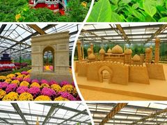 -南宫五洲植物乐园