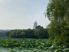 -长春市南湖公园