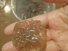 -青岛银沙滩