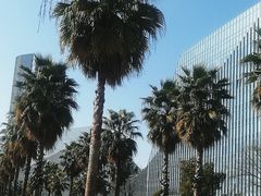 -金沙湖公园