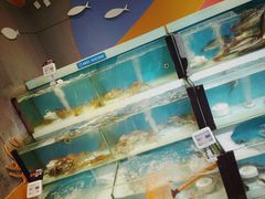 水产区-盒马鲜生(杭州运河上街店)