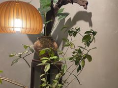 -本处·素食·融合料理(南油店)