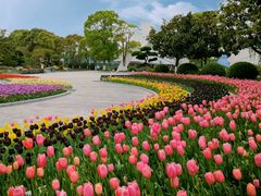 -上海鲜花港