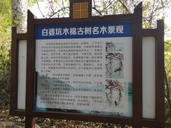 -羚羊峡古栈道森林公园