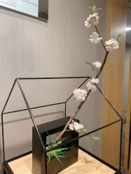 -爱陪伴尊享月子中心(国际店)