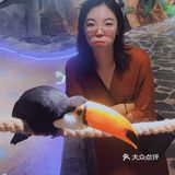 适合所有人的萌宠乐园