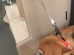 -申普宠物医院·眼科·心内科·影像科(普陀分院)