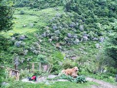 -折多山