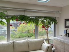 -精德口腔·种植修复·儿牙中心(财富中心店)