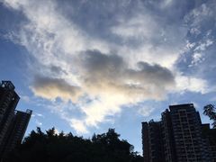 -坂田天虹